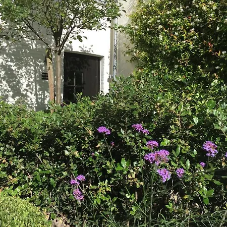 The Herring's - Stylish Private With Breakfast In Historic Center - Adults-only Bed & Breakfast